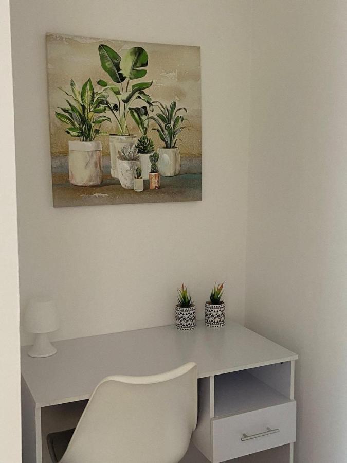 Dream House Cerenova Apartment Marina di Cerveteri ภายนอก รูปภาพ